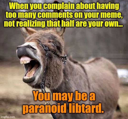 Crybabies gonna cry, Baby. | When you complain about having too many comments on your meme, not realizing that half are your own... You may be a paranoid libtard. | made w/ Imgflip meme maker