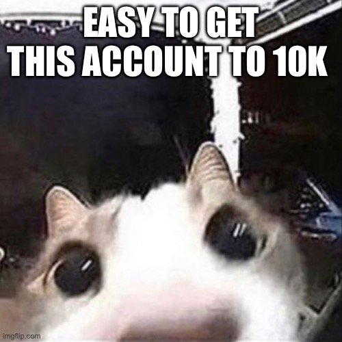 At a cause to make fun stream users mad lol | EASY TO GET THIS ACCOUNT TO 10K | image tagged in cat sniff | made w/ Imgflip meme maker