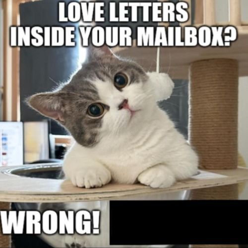 Love letters inside your mailbox? Wrong! Blank Meme Template