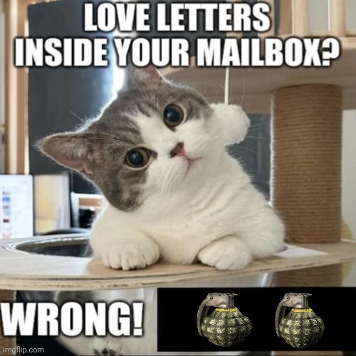 Grenades | image tagged in love letters inside your mailbox wrong,grenades | made w/ Imgflip meme maker