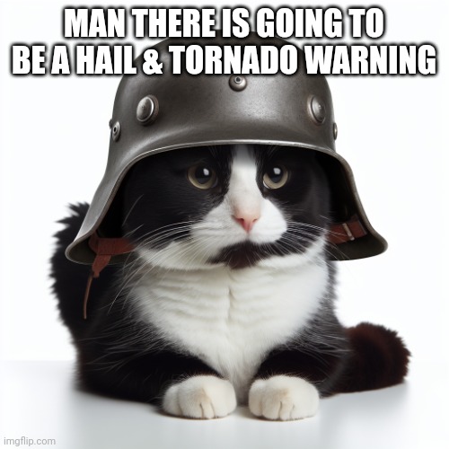Kaiser_Floppa_the_1st silly post | MAN THERE IS GOING TO BE A HAIL & TORNADO WARNING | image tagged in kaiser_floppa_the_1st silly post | made w/ Imgflip meme maker