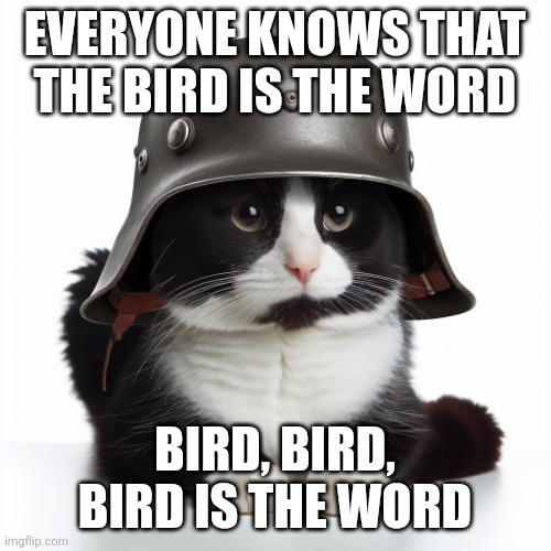 Kaiser_Floppa_the_1st silly post | EVERYONE KNOWS THAT THE BIRD IS THE WORD; BIRD, BIRD, BIRD IS THE WORD | image tagged in kaiser_floppa_the_1st silly post | made w/ Imgflip meme maker