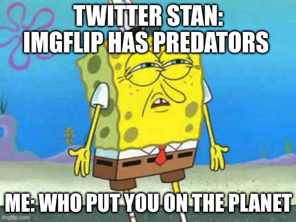 Who put you on the planet | TWITTER STAN: IMGFLIP HAS PREDATORS; ME: WHO PUT YOU ON THE PLANET | image tagged in who put you on the planet | made w/ Imgflip meme maker