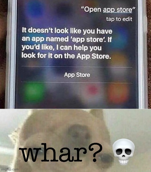 App store | image tagged in whar,app,app store,you had one job,memes,apps | made w/ Imgflip meme maker