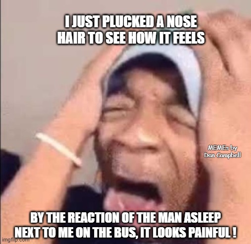 Black man screaming | I JUST PLUCKED A NOSE HAIR TO SEE HOW IT FEELS; MEMEs by Dan Campbell; BY THE REACTION OF THE MAN ASLEEP NEXT TO ME ON THE BUS, IT LOOKS PAINFUL ! | image tagged in black man screaming | made w/ Imgflip meme maker