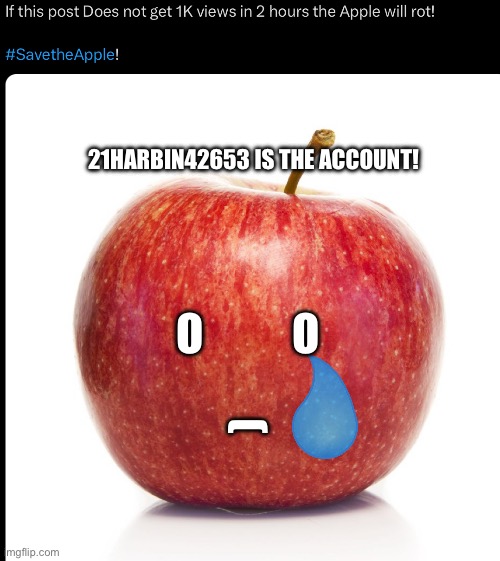 #SavetheApple! | (; 21HARBIN42653 IS THE ACCOUNT! O          O | image tagged in savetheapple | made w/ Imgflip meme maker