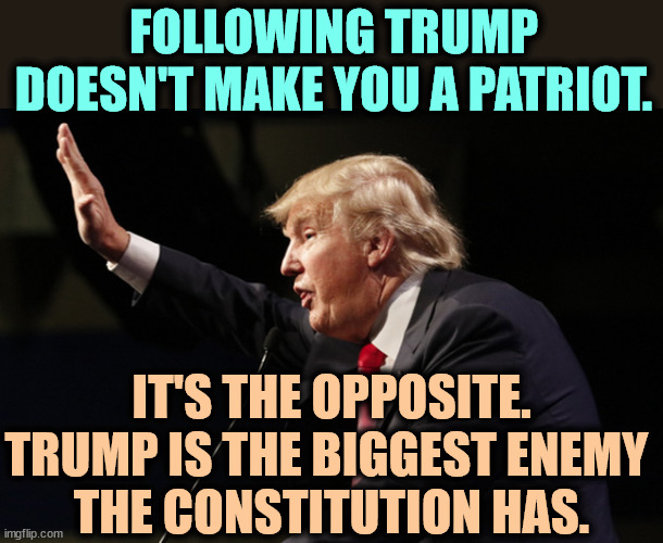 Nobody hates democracy like Trump. | FOLLOWING TRUMP DOESN'T MAKE YOU A PATRIOT. IT'S THE OPPOSITE. TRUMP IS THE BIGGEST ENEMY 
THE CONSTITUTION HAS. | image tagged in trump profile sieg heil nazi salute,trump,nazi,salute,democracy,dictator | made w/ Imgflip meme maker