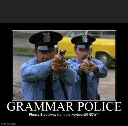 image tagged in grammar police | made w/ Imgflip meme maker