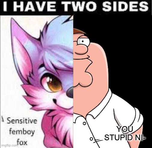 I have two sides | YOU STUPID NI- | image tagged in i have two sides | made w/ Imgflip meme maker