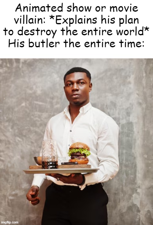 Animated show or movie villain: *Explains his plan to destroy the entire world*
His butler the entire time: | made w/ Imgflip meme maker