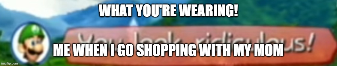 You look ridiculous! | WHAT YOU'RE WEARING! ME WHEN I GO SHOPPING WITH MY MOM | image tagged in you look ridiculous | made w/ Imgflip meme maker