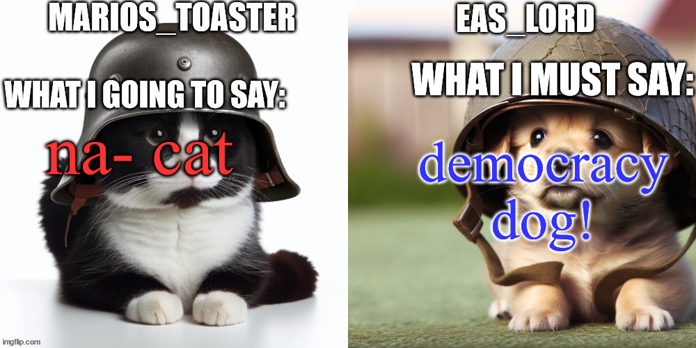 EAS_lord and marios_toaster | democracy dog! na- cat | image tagged in eas_lord and marios_toaster | made w/ Imgflip meme maker