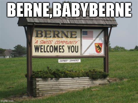you sang it in your head didn't you? | BERNE,BABYBERNE | image tagged in funny memes,lol so funny,too funny | made w/ Imgflip meme maker