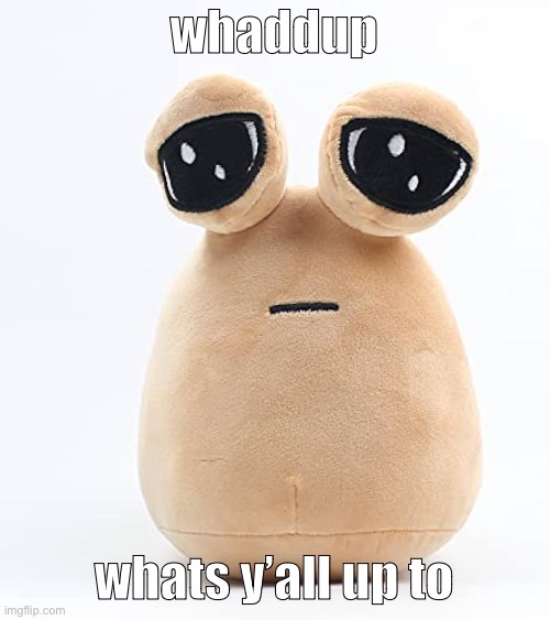 alien poo | whaddup; whats y’all up to | image tagged in alien poo | made w/ Imgflip meme maker