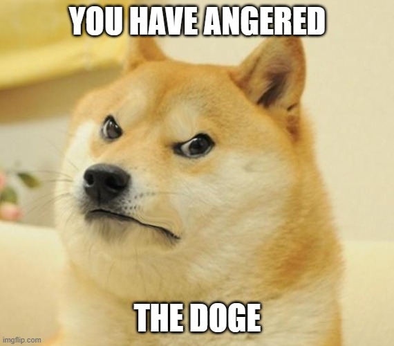 doge hates you | YOU HAVE ANGERED THE DOGE | image tagged in doge hates you | made w/ Imgflip meme maker