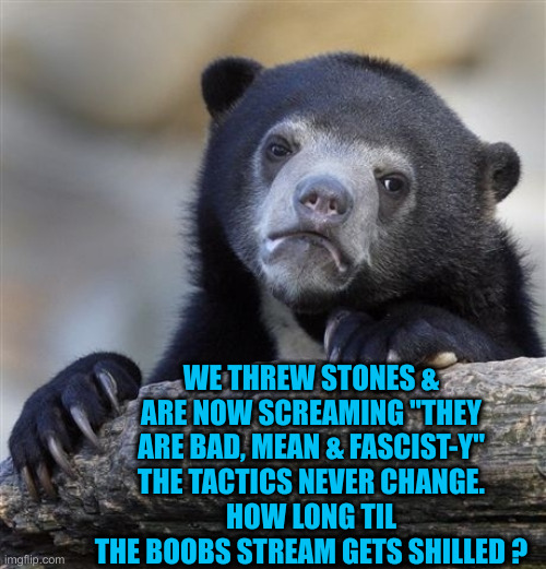 Confession Bear Meme | WE THREW STONES & ARE NOW SCREAMING "THEY ARE BAD, MEAN & FASCIST-Y"
THE TACTICS NEVER CHANGE.
HOW LONG TIL THE BOOBS STREAM GETS SHILLED ? | image tagged in memes,confession bear | made w/ Imgflip meme maker