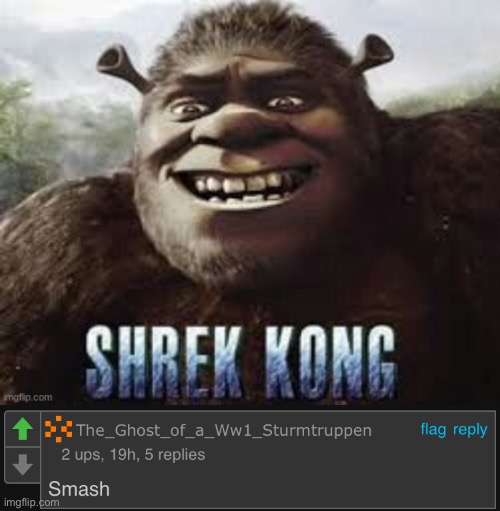 Yo wtf | image tagged in memes,funny,shrek,cursed comment | made w/ Imgflip meme maker