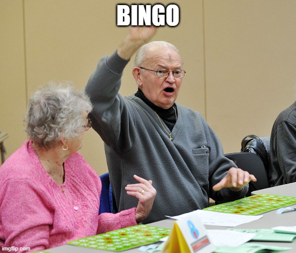 BINGO | image tagged in bingo | made w/ Imgflip meme maker