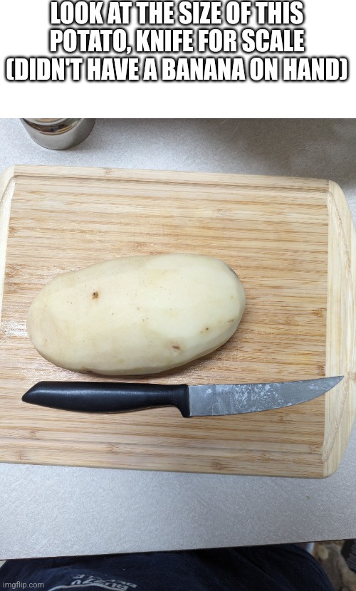 LOOK AT THE SIZE OF THIS POTATO, KNIFE FOR SCALE (DIDN'T HAVE A BANANA ON HAND) | image tagged in potato | made w/ Imgflip meme maker