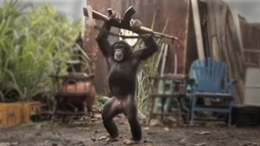 Monkey With AK-47 | image tagged in monkey with ak-47 | made w/ Imgflip meme maker