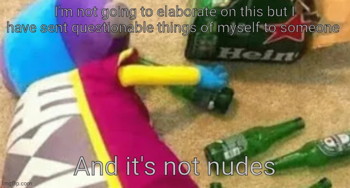 Idiot | I'm not going to elaborate on this but I have sent questionable things of myself to someone; And it's not nudes | image tagged in idiot | made w/ Imgflip meme maker