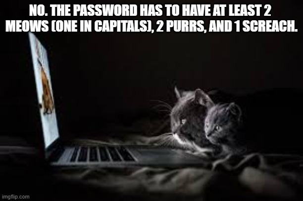 meme by Brad cats on computer | NO. THE PASSWORD HAS TO HAVE AT LEAST 2  MEOWS (ONE IN CAPITALS), 2 PURRS, AND 1 SCREACH. | image tagged in cats,funny,funny cat memes,password,computers,humor | made w/ Imgflip meme maker