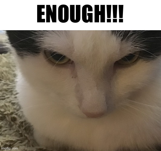 I will ban people, and for good reasons | ENOUGH!!! | image tagged in angry cat heavens cat | made w/ Imgflip meme maker