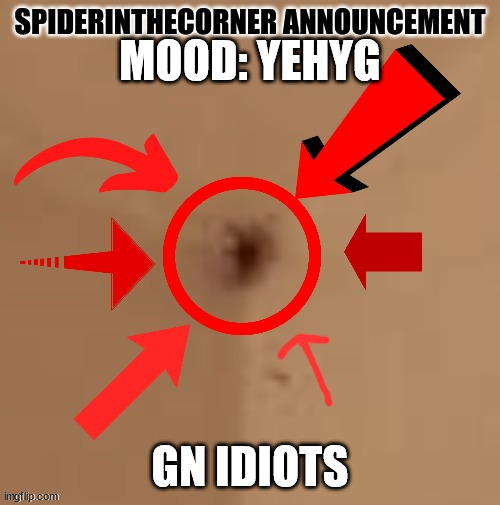 spiderinthecorner announcement | MOOD: YEHYG; GN IDIOTS | image tagged in spiderinthecorner announcement | made w/ Imgflip meme maker