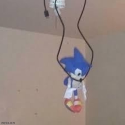 sonic suicide | image tagged in sonic suicide | made w/ Imgflip meme maker