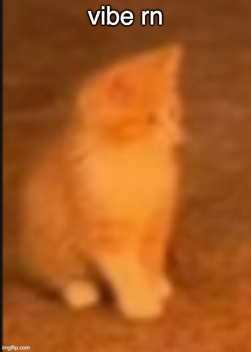 demonic orange cat kitten | vibe rn | image tagged in demonic orange cat kitten | made w/ Imgflip meme maker