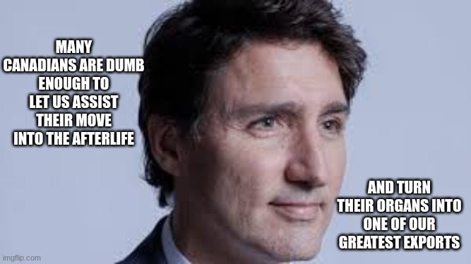 In Today's News | MANY CANADIANS ARE DUMB ENOUGH TO LET US ASSIST THEIR MOVE INTO THE AFTERLIFE; AND TURN THEIR ORGANS INTO ONE OF OUR GREATEST EXPORTS | image tagged in trudeau,maid,suicide is painless | made w/ Imgflip meme maker