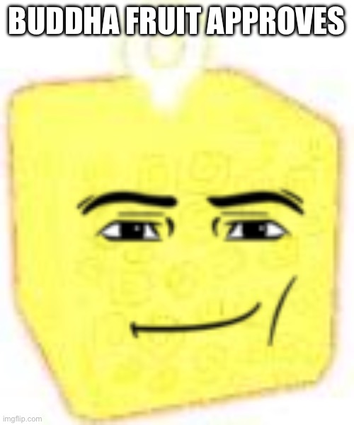buddha fruit | BUDDHA FRUIT APPROVES | image tagged in buddha fruit | made w/ Imgflip meme maker