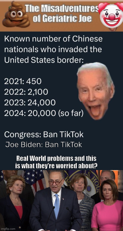 Real world problems | Joe Biden: Ban TikTok; Real World problems and this is what they're worried about? | image tagged in democrat congressmen | made w/ Imgflip meme maker