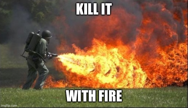 Kill it with fire | KILL IT WITH FIRE | image tagged in kill it with fire | made w/ Imgflip meme maker