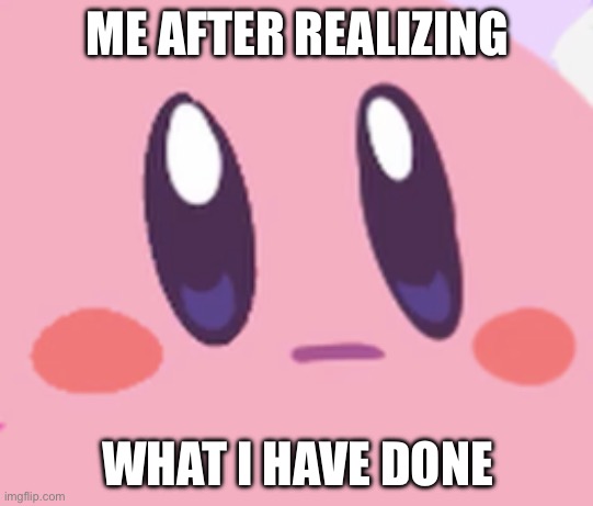 Yes, I’m just another internet troll. 
(Freaky: I was just agreeing with ya, no hard feelings) | ME AFTER REALIZING; WHAT I HAVE DONE | image tagged in blank kirby face | made w/ Imgflip meme maker