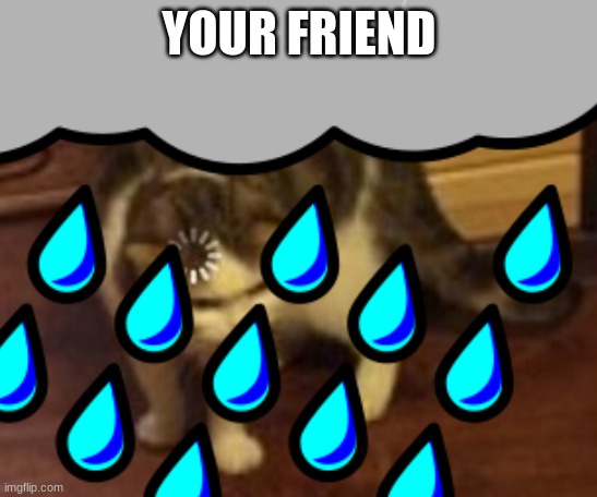 YOUR FRIEND | made w/ Imgflip meme maker