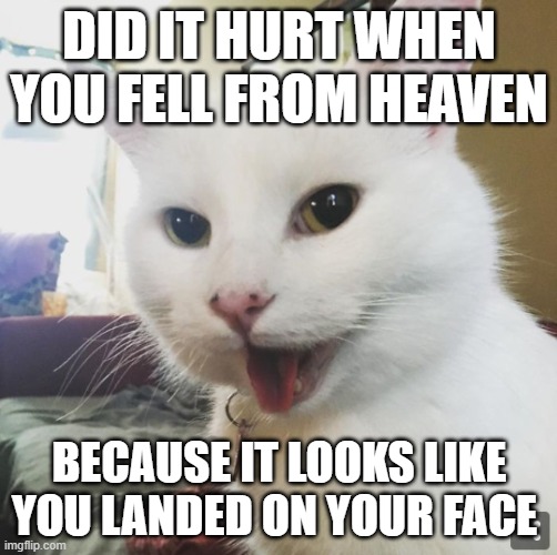 Smudge | DID IT HURT WHEN YOU FELL FROM HEAVEN; BECAUSE IT LOOKS LIKE YOU LANDED ON YOUR FACE | image tagged in smudge | made w/ Imgflip meme maker
