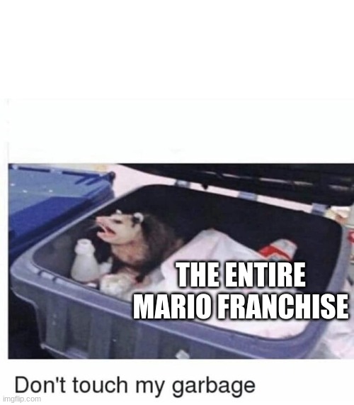 Don't touch my garbage | THE ENTIRE MARIO FRANCHISE | image tagged in don't touch my garbage | made w/ Imgflip meme maker