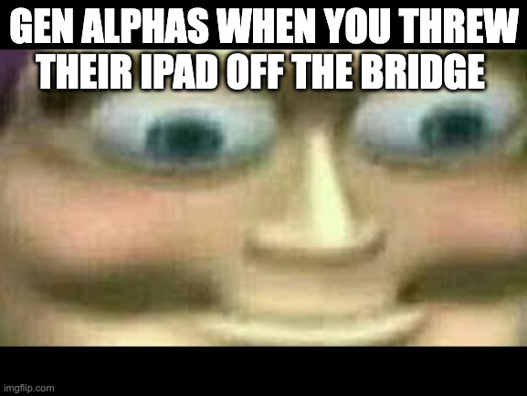 Gen alphas | GEN ALPHAS WHEN YOU THREW THEIR IPAD OFF THE BRIDGE | image tagged in funny memes | made w/ Imgflip meme maker