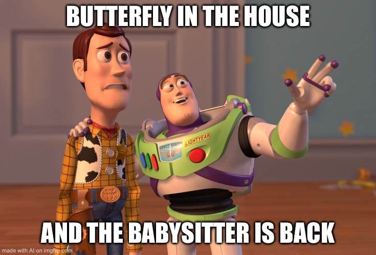 X, X Everywhere Meme | BUTTERFLY IN THE HOUSE; AND THE BABYSITTER IS BACK | image tagged in memes,x x everywhere | made w/ Imgflip meme maker