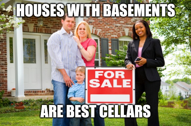 Realtor with clients | HOUSES WITH BASEMENTS; ARE BEST CELLARS | image tagged in realtor with clients | made w/ Imgflip meme maker