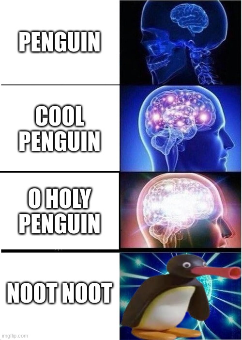 noot noot | PENGUIN; COOL PENGUIN; O HOLY PENGUIN; NOOT NOOT | image tagged in memes,expanding brain,penguin,noot noot | made w/ Imgflip meme maker
