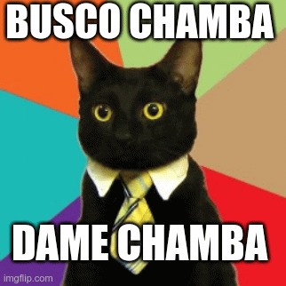 chamba | BUSCO CHAMBA; DAME CHAMBA | image tagged in gifs,cat | made w/ Imgflip images-to-gif maker