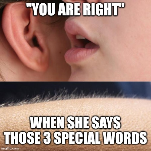 The Ultimate Fantasy | "YOU ARE RIGHT"; WHEN SHE SAYS THOSE 3 SPECIAL WORDS | image tagged in whisper and goosebumps,relationships,women,men,fantasy,words | made w/ Imgflip meme maker