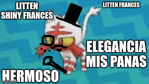 uwdc | LITTEN SHINY FRANCES; LITTEN FRANCES; ELEGANCIA MIS PANAS; HERMOSO | image tagged in litter | made w/ Imgflip images-to-gif maker
