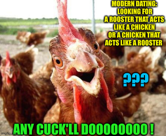 Popeye's | MODERN DATING:  LOOKING FOR A ROOSTER THAT ACTS LIKE A CHICKEN OR A CHICKEN THAT ACTS LIKE A ROOSTER; ??? ANY CUCK'LL DOOOOOOOO ! | image tagged in chicken,funny memes,memes | made w/ Imgflip meme maker