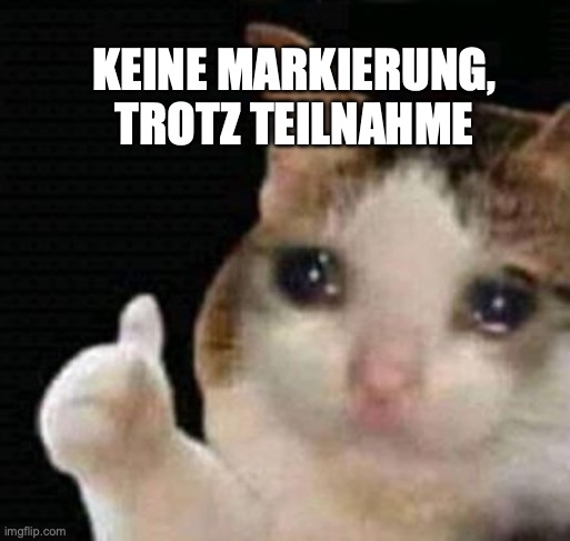 sad thumbs up cat | KEINE MARKIERUNG,
TROTZ TEILNAHME | image tagged in sad thumbs up cat | made w/ Imgflip meme maker