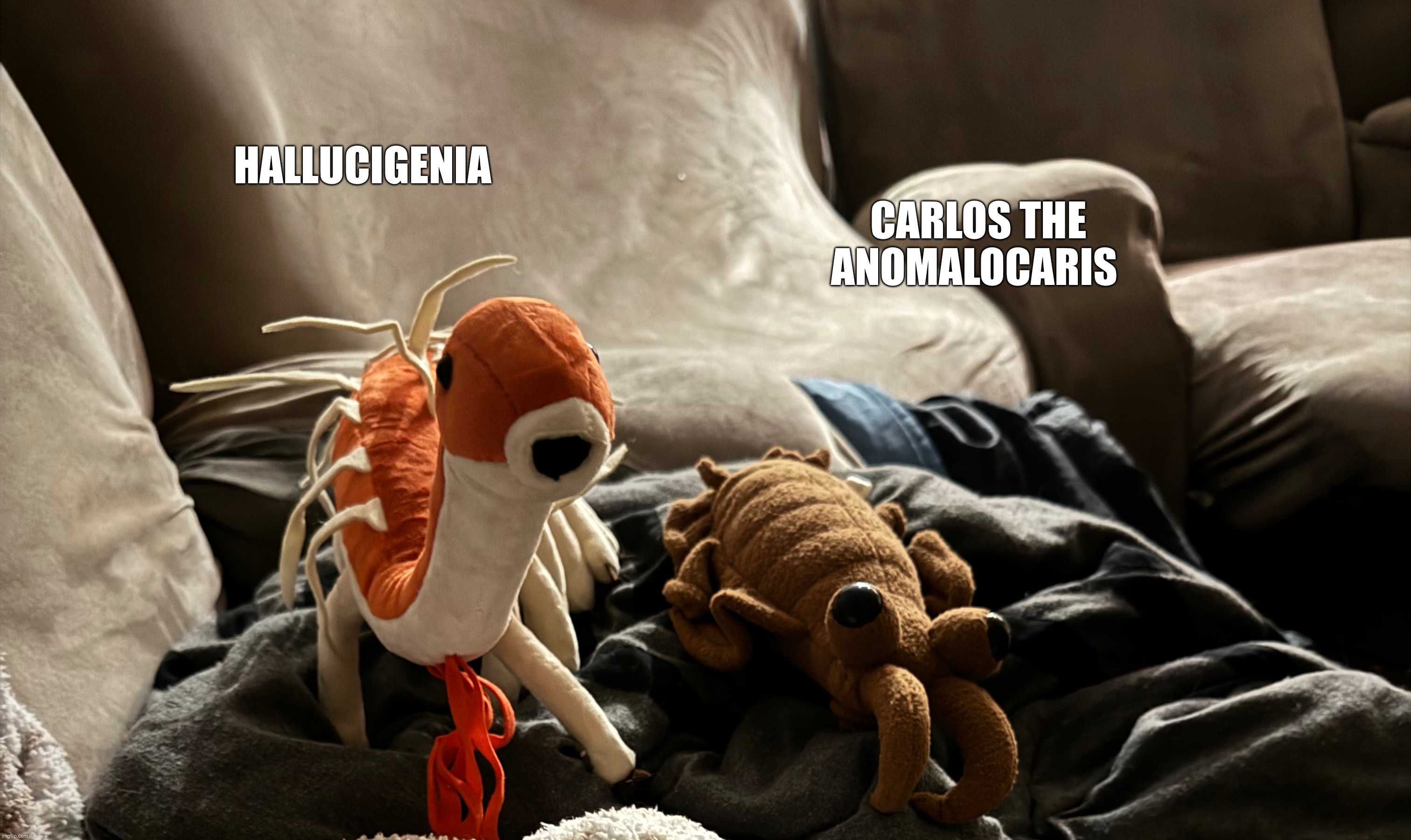 Two new Cambrians!!! (On topic note: there is no note) | HALLUCIGENIA; CARLOS THE ANOMALOCARIS | made w/ Imgflip meme maker