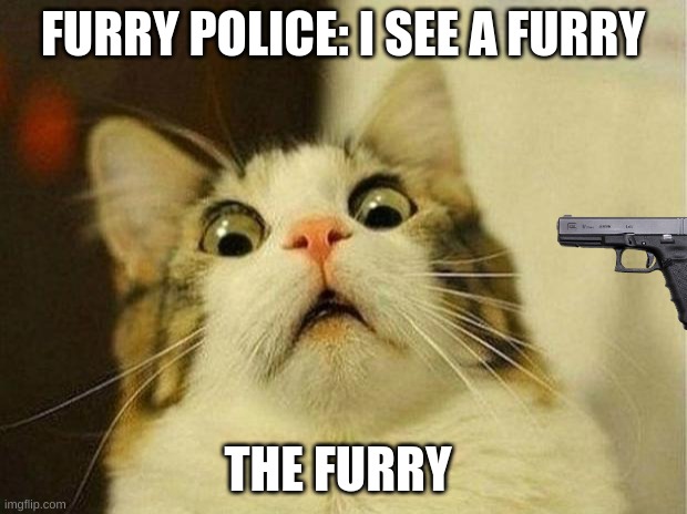 furry | FURRY POLICE: I SEE A FURRY; THE FURRY | image tagged in memes,scared cat | made w/ Imgflip meme maker