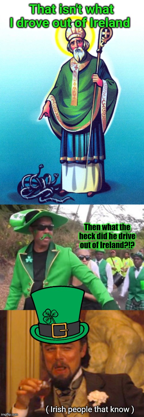 If you're not sure... Google it. | That isn't what I drove out of Ireland; Then what the heck did he drive out of Ireland?!? ( Irish people that know ) | image tagged in st patrick snakes,memes,laughing leo | made w/ Imgflip meme maker